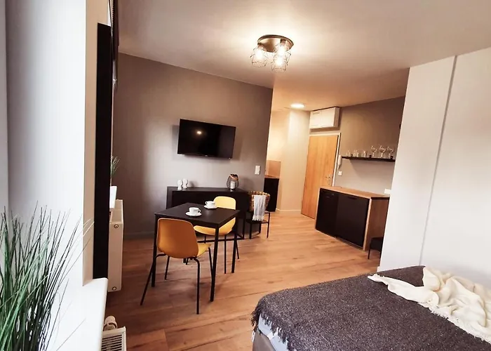 Apartament Family W Centrum Miasta Gryf Szczecin